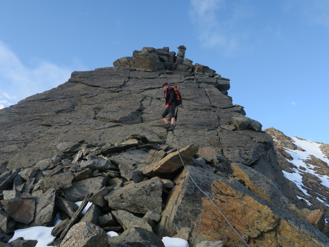 Miriam zwischen Warenkarseitenspitze und W&uuml;tenkarferner (15. Aug.)