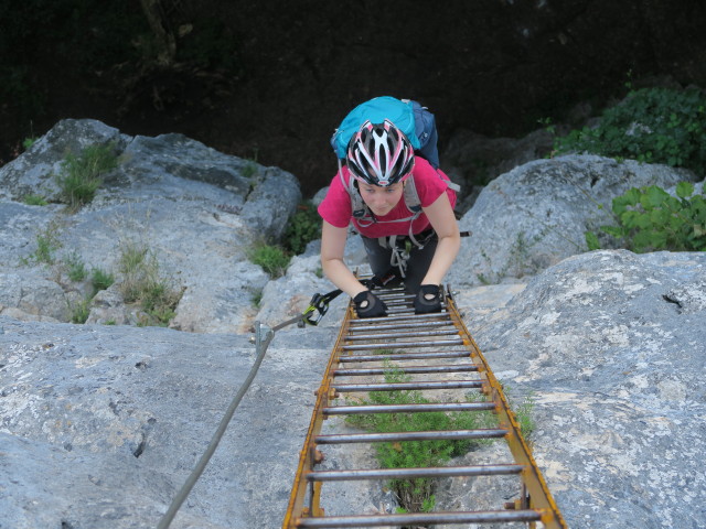 Währinger Klettersteig: Sabine auf der Leiter