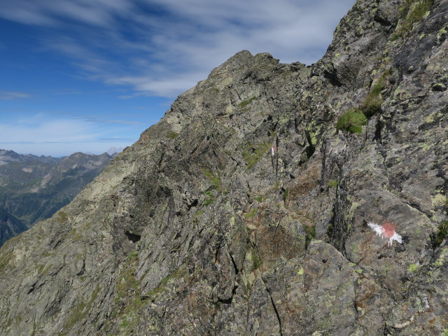 zwischen Roteck und M&uuml;hlbacht&ouml;rl (20. Aug.)