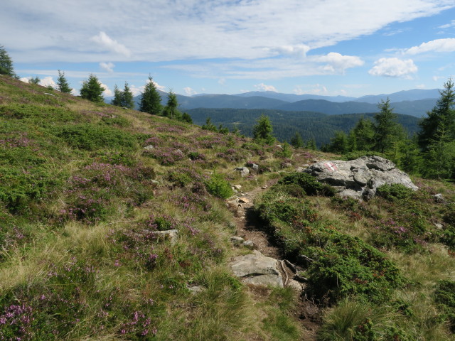 Weg 788 zwischen Preberkessel und Preberhalterh&uuml;tte (20. Aug.)