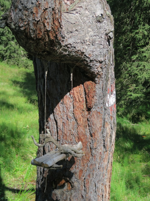 zwischen Prodingerh&uuml;tte und Gasthaus Ludlalm (20. Aug.)
