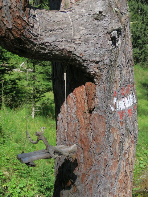 zwischen Prodingerhütte und Gasthaus Ludlalm (20. Aug.)