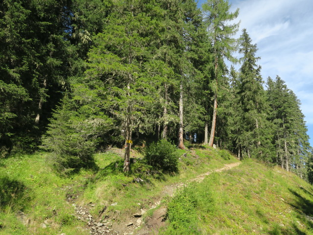 zwischen Prodingerh&uuml;tte und Gasthaus Ludlalm (20. Aug.)