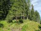 zwischen Prodingerhütte und Gasthaus Ludlalm (20. Aug.)