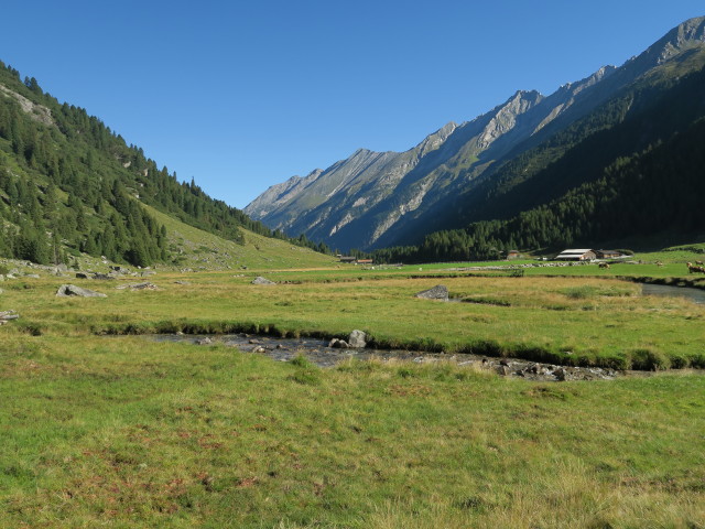 Außerunlassalm, 1.666 m (26. Aug.)