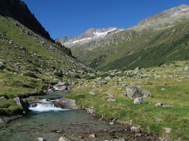 Windbach zwischen Krimmler Achental und Windbachalm (26. Aug.)