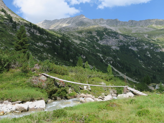 Rainbachtal zwischen Breitschartgraben und Rainbachalm (28. Aug.)