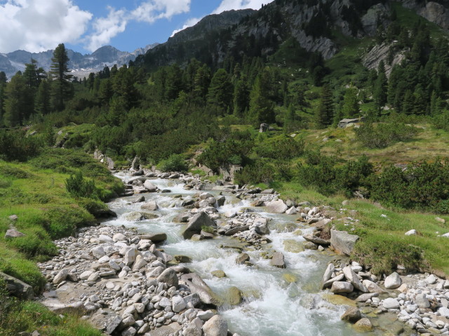 Rainbach zwischen Breitschartgraben und Rainbachalm (28. Aug.)