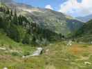 Rainbachtal beim Breitschartgraben (28. Aug.)