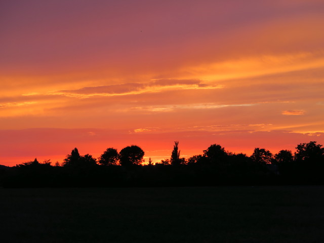 Süßenbrunn (29. Aug.)