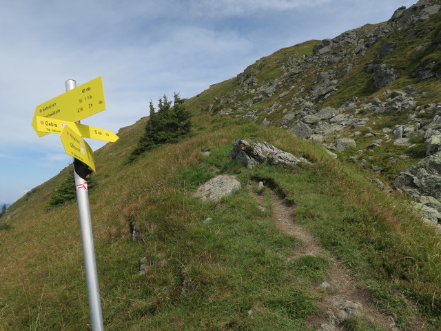 Weg 14 zwischen Gebrajoch und Großer Gebra (10. Sept.)