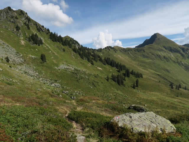 zwischen Kleiner Gebra und Hochwildalmhütte (10. Sept.)