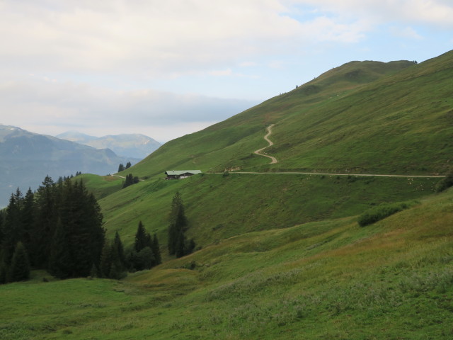 Brunnhoferalm (11. Sept.)