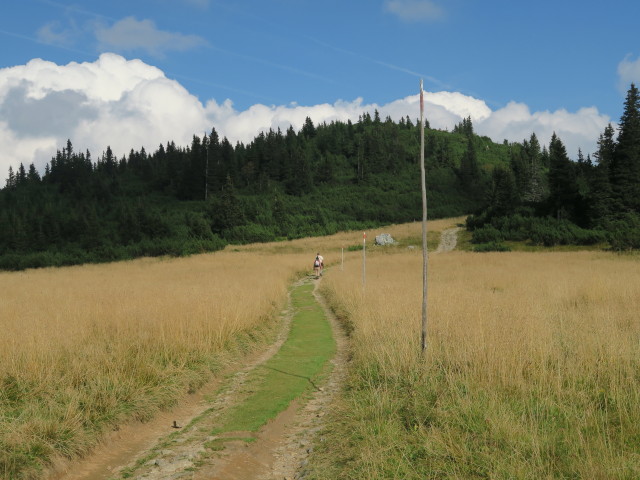 Seeweg zwischen Otto-Schutzhaus und Grünschacher