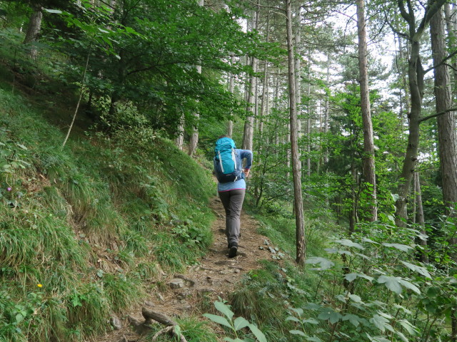 Sabine zwischen Pitten und Pittentaler Klettersteig