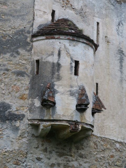 Burg Seebenstein, 458 m