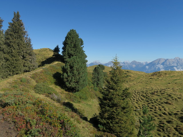 zwischen Salfains und Grieskogel (24. Sept.)