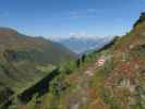 Weg 119 zwischen Sendersbach und Adolf-Pichler-Hütte (24. Sept.)