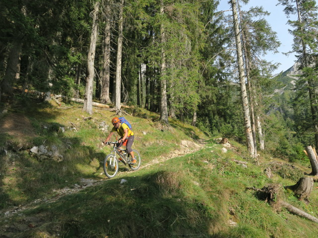 Axel am Loferer Steig zwischen Jagdhütte Hochgscheid und Jagdhütte Daxstein (1. Okt.)