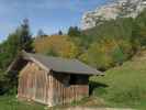 zwischen Jagdhütte Daxstein und Obermayrberg (1. Okt.)