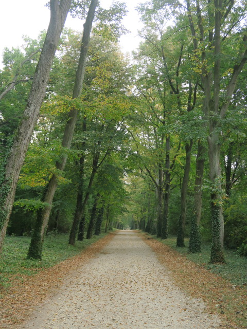 Schlosspark Halbturn