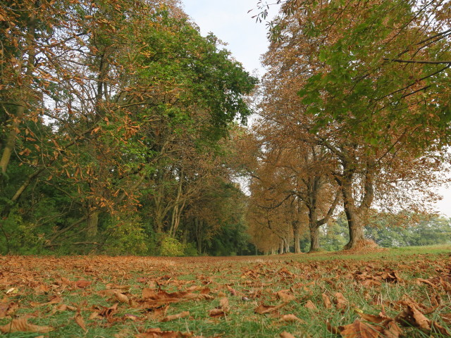 Schlosspark Halbturn