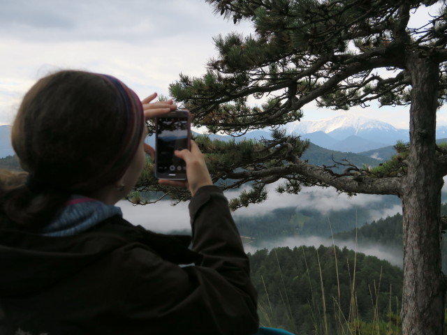 Sabine am Hausstein, 664 m