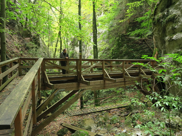 Sabine in der Steinwandklamm