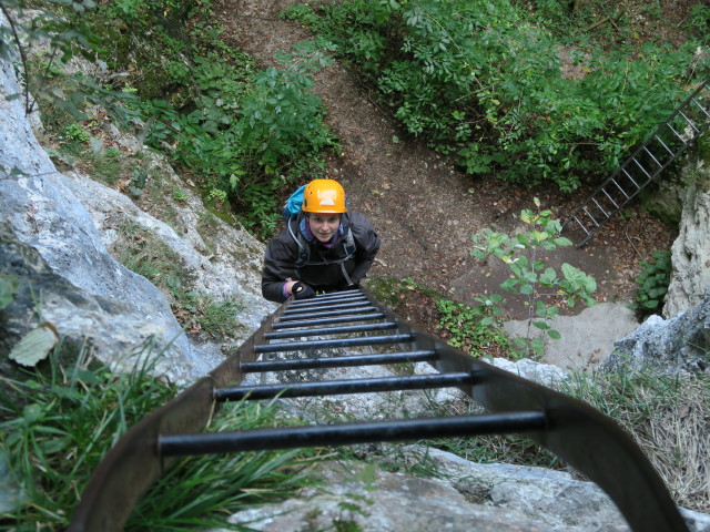 Rudolf-Decker-Klettersteig: Sabine auf der Leiter zum Wildschützenloch