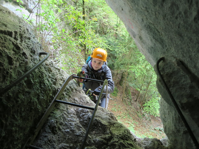 Rudolf-Decker-Klettersteig: Sabine auf der Leiter zum Wildschützenloch