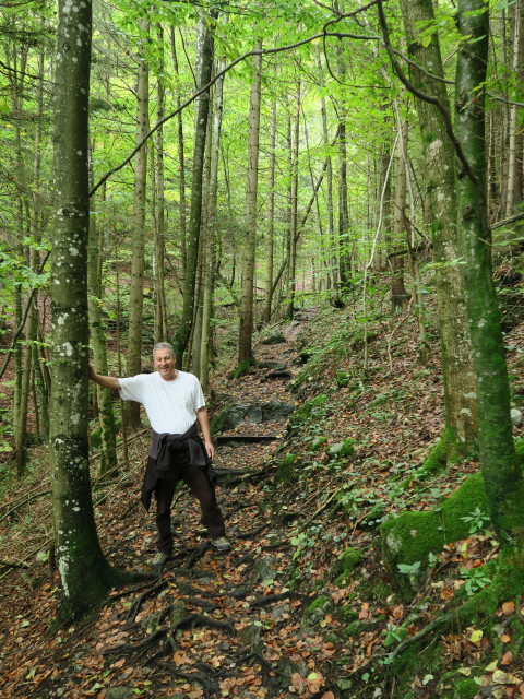 Erich am Ötscherrundweg zwischen Schindlhütte und Ötscher-Tropfsteinhöhle