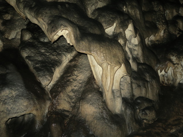 Ötscher-Tropfsteinhöhle: 'Flamingo'