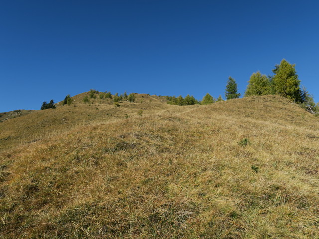 Weg 12 zwischen Dart und Joch