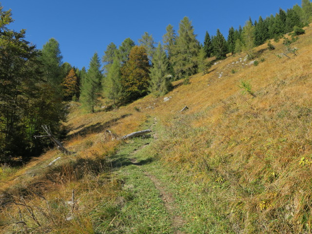 Gailtaler Höhenweg zwischen Auf der Mussen und Röten