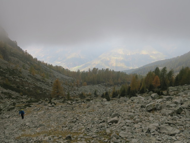 Axel zwischen Ifinger-Schartlweg und Ifinger-Südwestgrat
