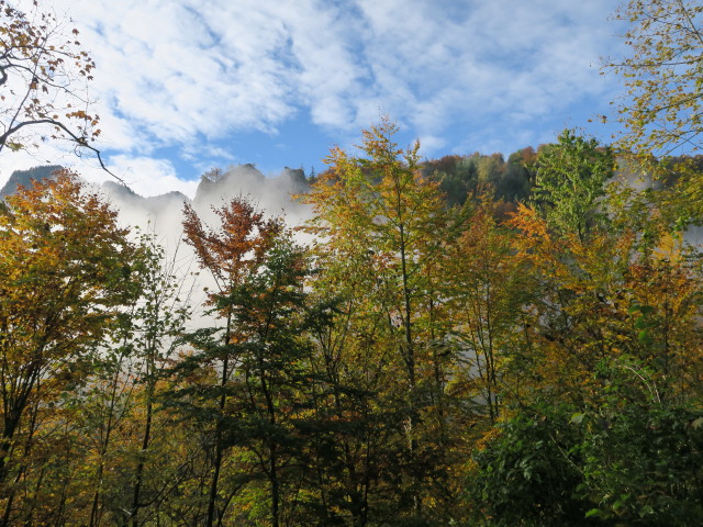 von Trattenbach Richtung Süden