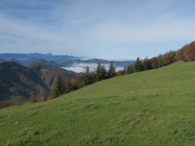 neben Weg 409 zwischen Gscheid und Kruckenbrettl