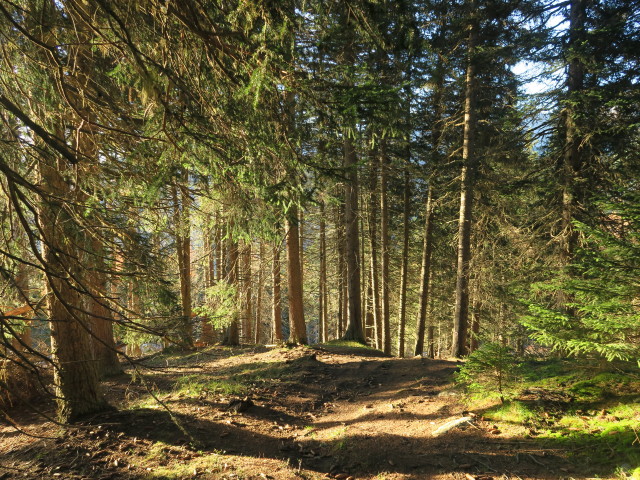 zwischen Waldraster Jöchl und Auffindungskapelle (31. Okt.)