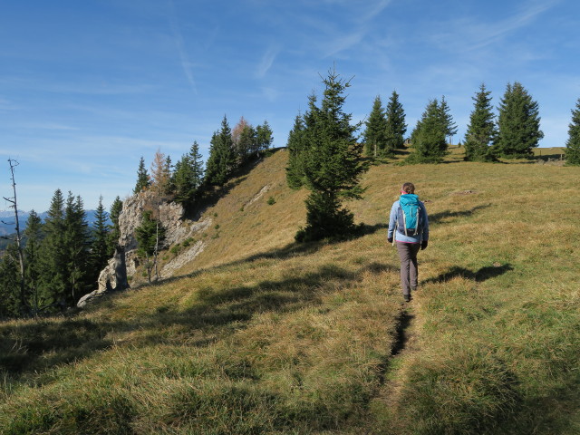 Sabine auf der Kampalpe, 1.535 m