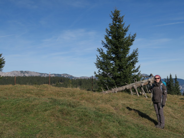 Sabine auf der Kampalpe, 1.535 m