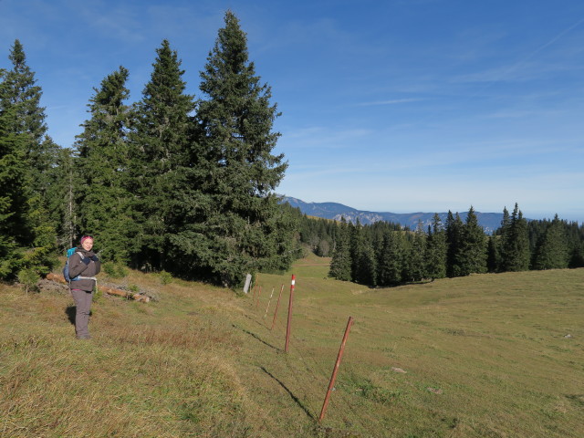Sabine am Peter-Rosegger-Weitwanderweg zwischen Kampalpe und Windmantel
