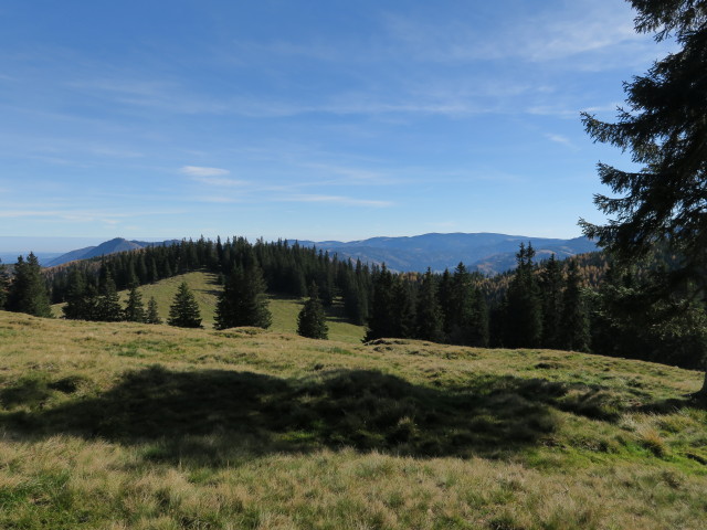neben Peter-Rosegger-Weitwanderweg zwischen Kampalpe und Windmantel
