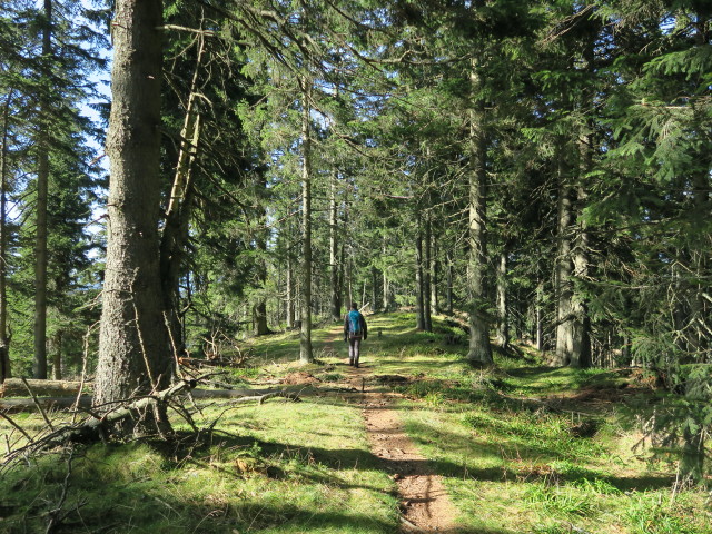 Sabine am Peter-Rosegger-Weitwanderweg zwischen Windmantel und Tratenkogel