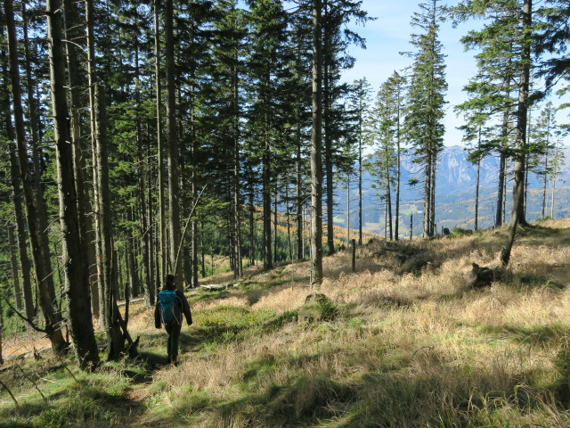 Sabine am Peter-Rosegger-Weitwanderweg zwischen Tratenkogel und Peter-Rosegger-Weitwanderweg