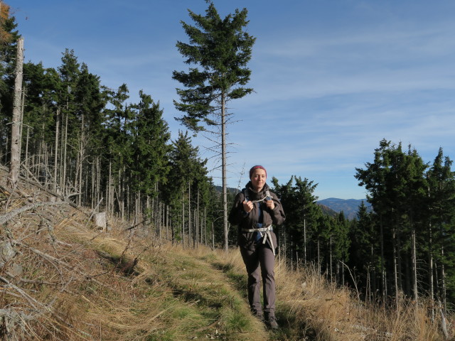Sabine zwischen Beeralplstall und Scheibenhütte