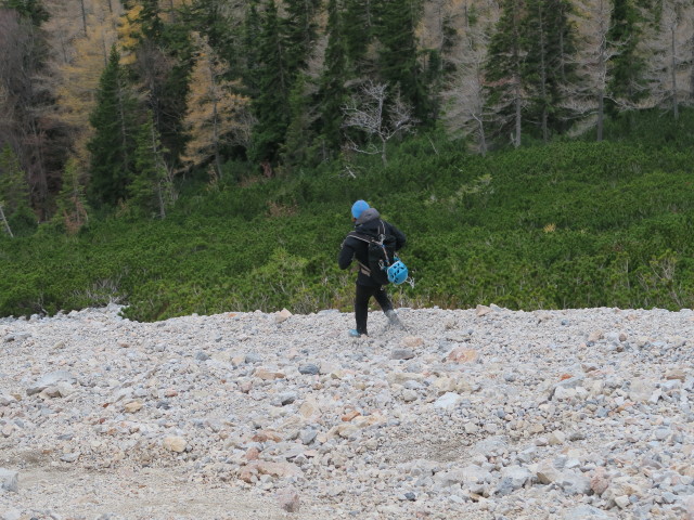 Irene in der Holzknechtschütt