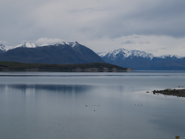 Lake Tekapo (14. Nov.)