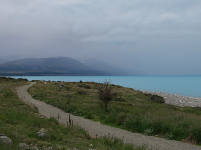 Lake Pukaki (14. Nov.)