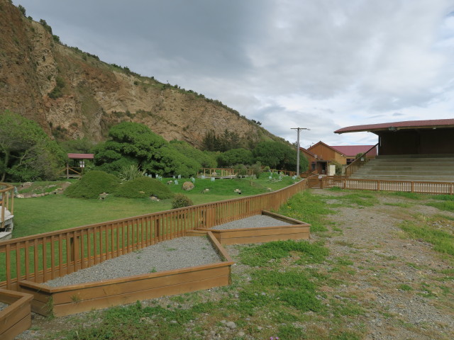 Blue Penguin Colony in Oamara (15. Nov.)