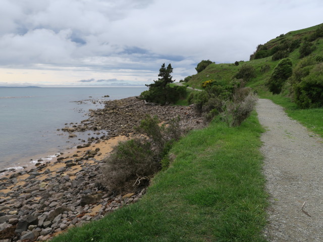 zwischen Moeraki und Moeraki Point (15. Nov.)